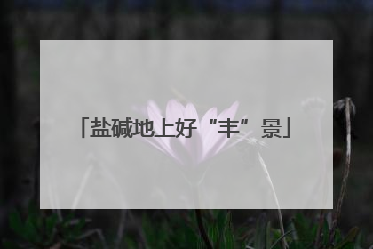 盐碱地上好“丰”景