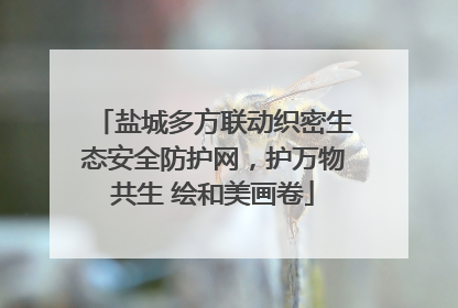 盐城多方联动织密生态安全防护网，护万物共生 绘和美画卷