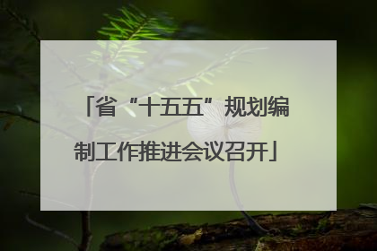 省“十五五”规划编制工作推进会议召开