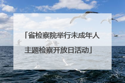省检察院举行未成年人主题检察开放日活动