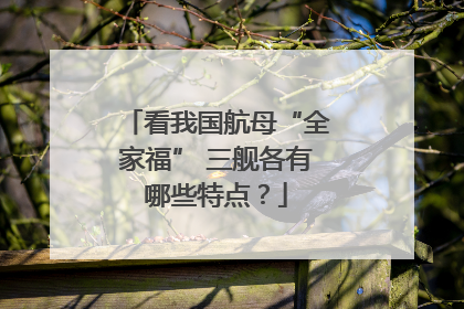 看我国航母“全家福” 三舰各有哪些特点？