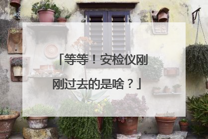 等等！安检仪刚刚过去的是啥？