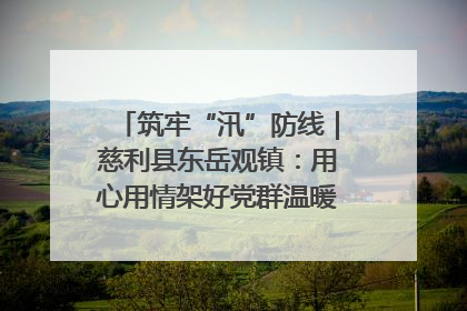 筑牢“汛”防线｜慈利县东岳观镇：用心用情架好党群温暖悠长的“连心桥”