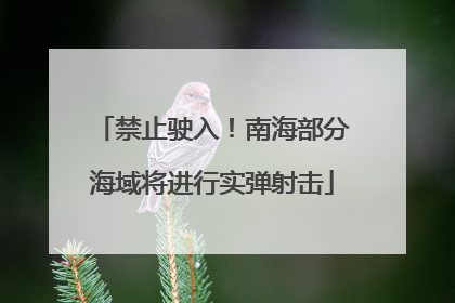 禁止驶入！南海部分海域将进行实弹射击