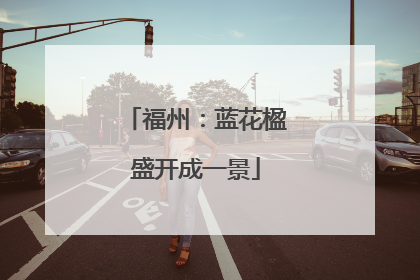 福州：蓝花楹盛开成一景