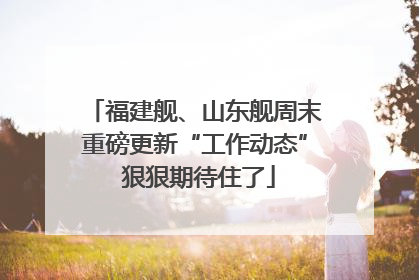福建舰、山东舰周末重磅更新“工作动态” 狠狠期待住了