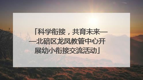 科学衔接，共育未来——北碚区龙凤教管中心开展幼小衔接交流活动