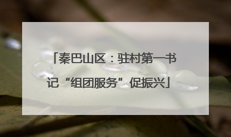 秦巴山区：驻村第一书记“组团服务”促振兴