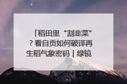稻田里“割韭菜”？看自贡如何破译再生稻气象密码｜绿镜头·发现中国