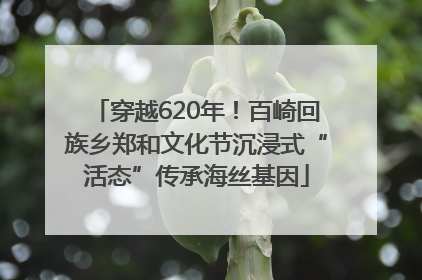 穿越620年！百崎回族乡郑和文化节沉浸式“活态”传承海丝基因