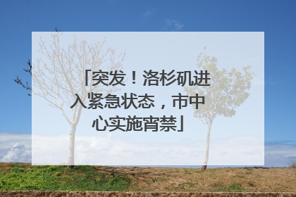突发！洛杉矶进入紧急状态，市中心实施宵禁
