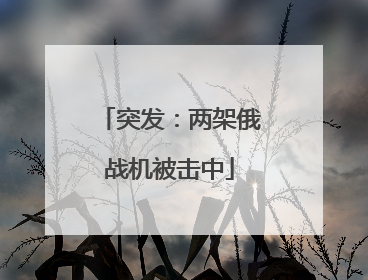突发：两架俄战机被击中