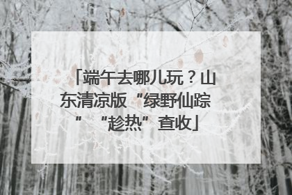 端午去哪儿玩？山东清凉版“绿野仙踪”“趁热”查收