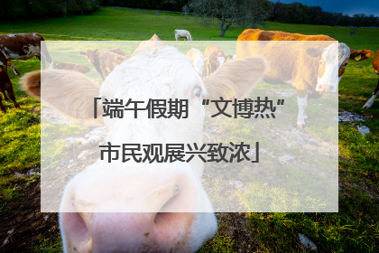 端午假期“文博热” 市民观展兴致浓