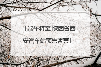 端午将至 陕西省西安汽车站预售客票