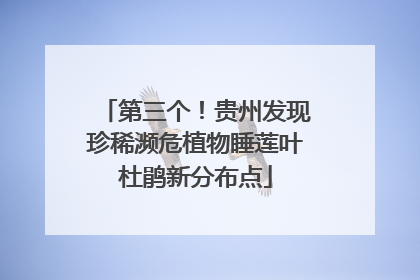 第三个！贵州发现珍稀濒危植物睡莲叶杜鹃新分布点
