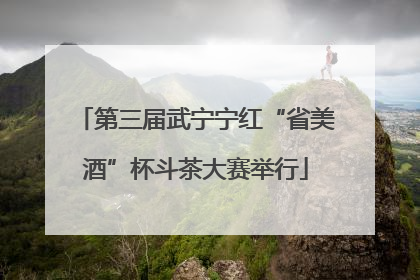 第三届武宁宁红“省美酒”杯斗茶大赛举行