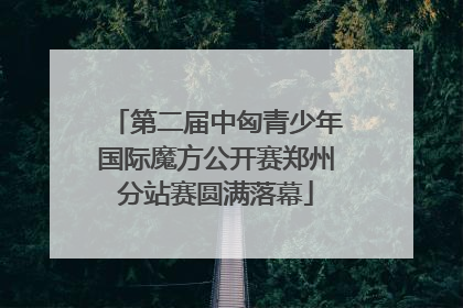 第二届中匈青少年国际魔方公开赛郑州分站赛圆满落幕
