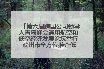 第六届跨国公司领导人青岛峰会通用航空和低空经济发展论坛举行 滨州市全方位推介低空经济发展优势