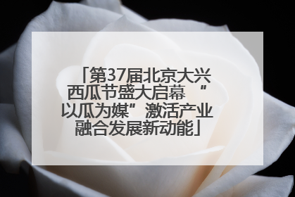 第37届北京大兴西瓜节盛大启幕 “以瓜为媒”激活产业融合发展新动能