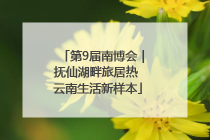 第9届南博会｜抚仙湖畔旅居热 云南生活新样本