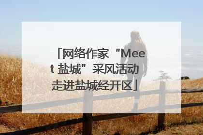 网络作家“Meet 盐城”采风活动走进盐城经开区