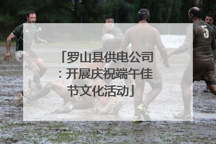 罗山县供电公司：开展庆祝端午佳节文化活动