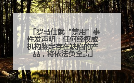 罗马仕就“禁用”事件发声明：任何经权威机构鉴定存在缺陷的产品，将依法负全责