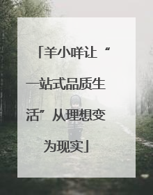 羊小咩让“一站式品质生活”从理想变为现实