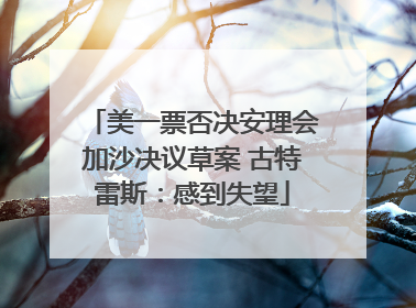 美一票否决安理会加沙决议草案 古特雷斯：感到失望