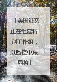 美国证实正在组建特别工作组，以监控中东局势