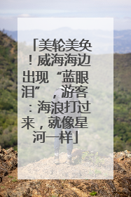 美轮美奂！威海海边出现“蓝眼泪”，游客：海浪打过来，就像星河一样