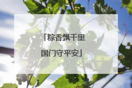 粽香飘千里 国门守平安