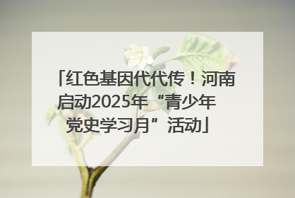 红色基因代代传！河南启动2025年“青少年党史学习月”活动