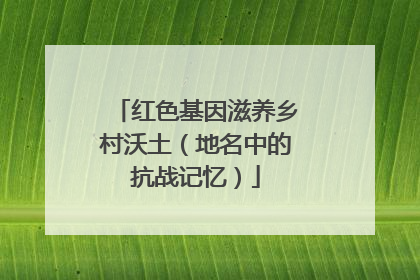 红色基因滋养乡村沃土（地名中的抗战记忆）