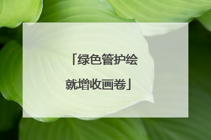 绿色管护绘就增收画卷