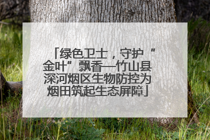 绿色卫士，守护“金叶”飘香—竹山县深河烟区生物防控为烟田筑起生态屏障