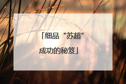 细品“苏超”成功的秘笈