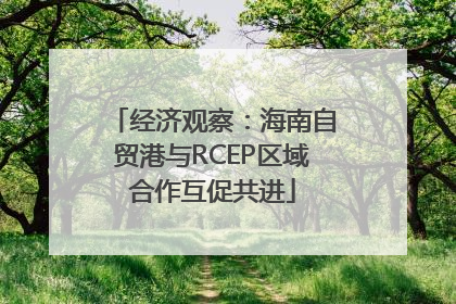 经济观察：海南自贸港与RCEP区域合作互促共进