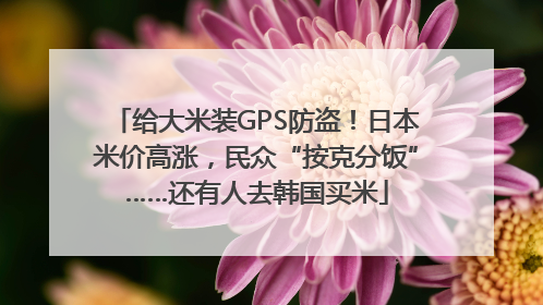 给大米装GPS防盗！日本米价高涨，民众“按克分饭”……还有人去韩国买米