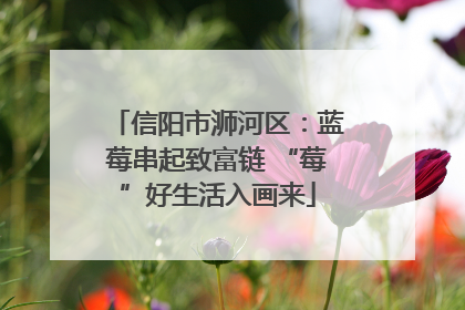 信阳市浉河区：蓝莓串起致富链 “莓”好生活入画来