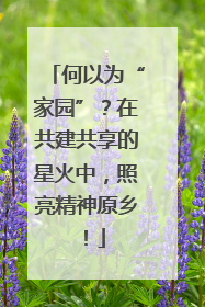 何以为“家园”？在共建共享的星火中，照亮精神原乡！