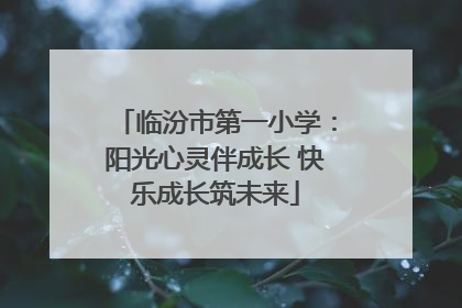 临汾市第一小学：阳光心灵伴成长 快乐成长筑未来