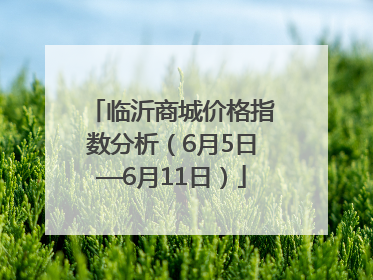 临沂商城价格指数分析（6月5日—6月11日）
