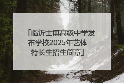 临沂士博高级中学发布学校2025年艺体特长生招生简章