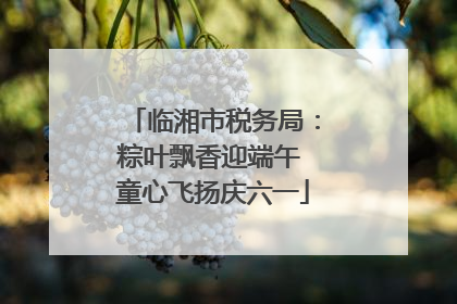 临湘市税务局：粽叶飘香迎端午 童心飞扬庆六一