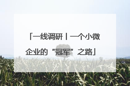 一线调研丨一个小微企业的“冠军”之路