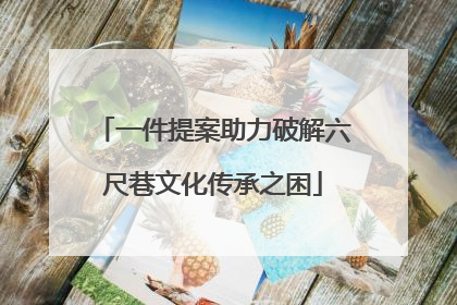 一件提案助力破解六尺巷文化传承之困