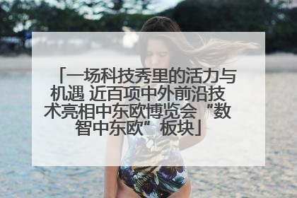 一场科技秀里的活力与机遇 近百项中外前沿技术亮相中东欧博览会“数智中东欧”板块