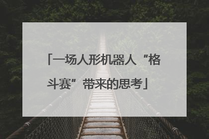 一场人形机器人“格斗赛”带来的思考